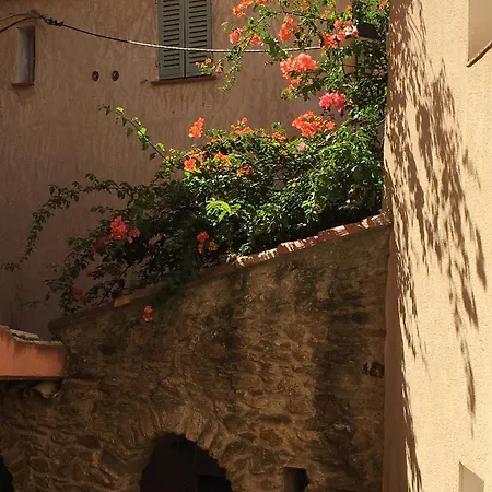 3 Pers Coeur De Village Les Mimosas *