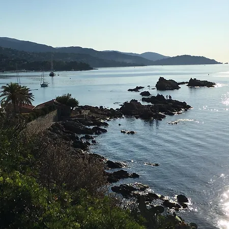 3 Pers Coeur De Village Les Mimosas *