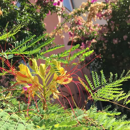 아파트 3 Pers Coeur De Village Les Mimosas 봄레미모사