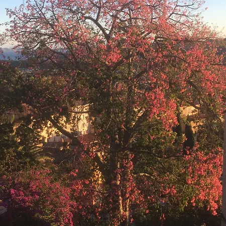 3 Pers Coeur De Village Les Mimosas 아파트 *