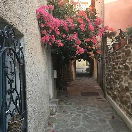 3 Pers Coeur De Village Les Mimosas 아파트 *